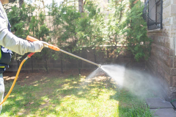 Bird Control in Paxton, IL